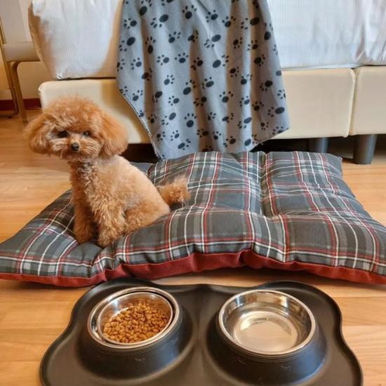 PET LOVERS Hotel Raffaello Milán PET LOVERS Hotel Raffaello Milán